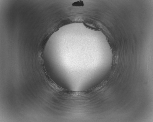 X0000068820521200606021620