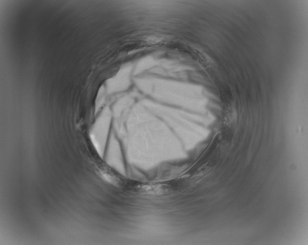 X0000068820524200606021620