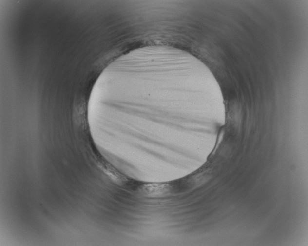 X0000068820526200606021620
