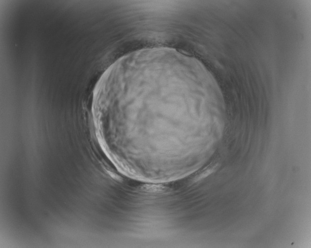 X0000068820528200606021620