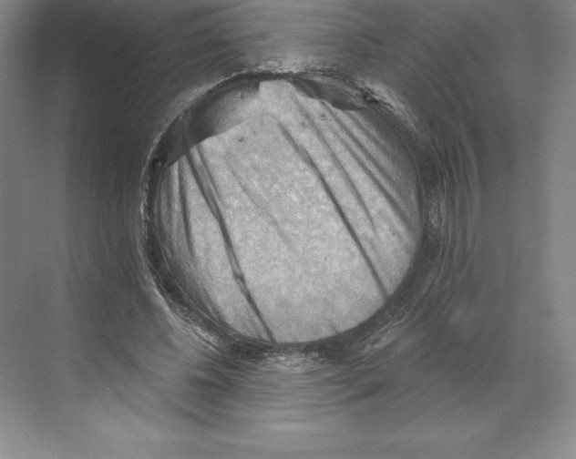 X0000068820540200606021619