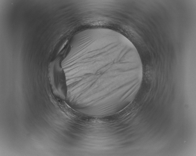 X0000068820547200606021619