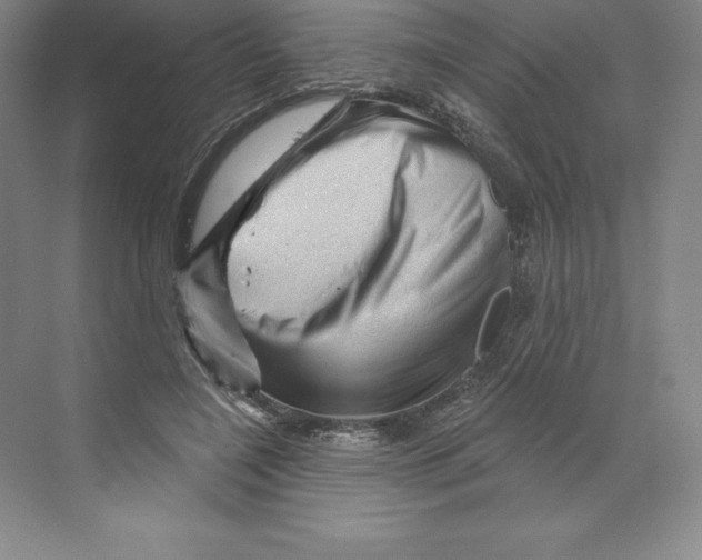 X0000068820548200606021619