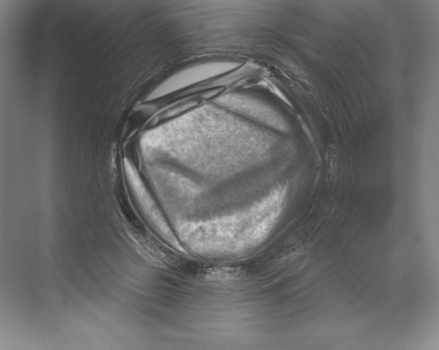 X0000068820550200606021619