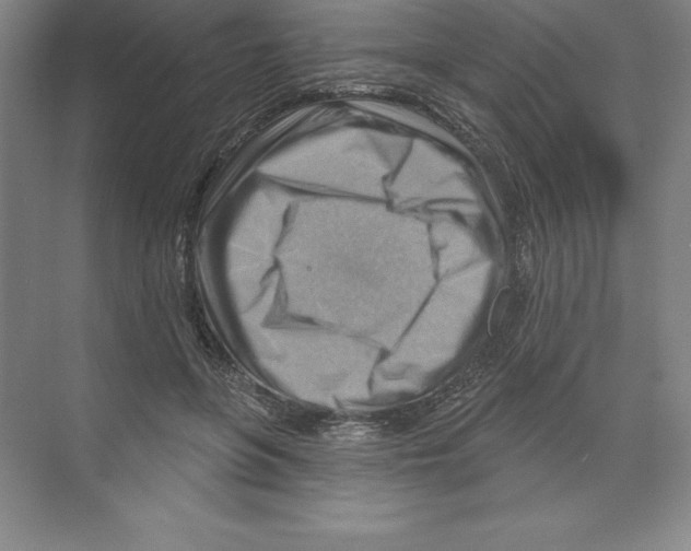 X0000068820551200606021620
