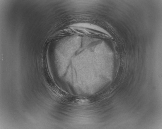 X0000068820552200606021620