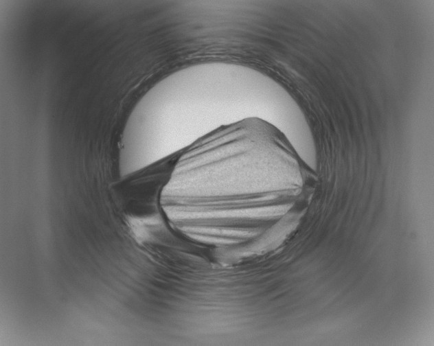 X0000068820556200606021620