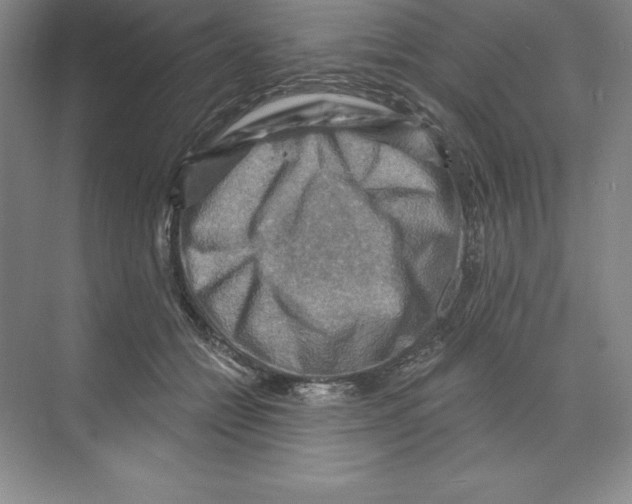 X0000068820558200606021620