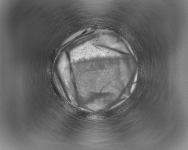 X0000068820561200606021620