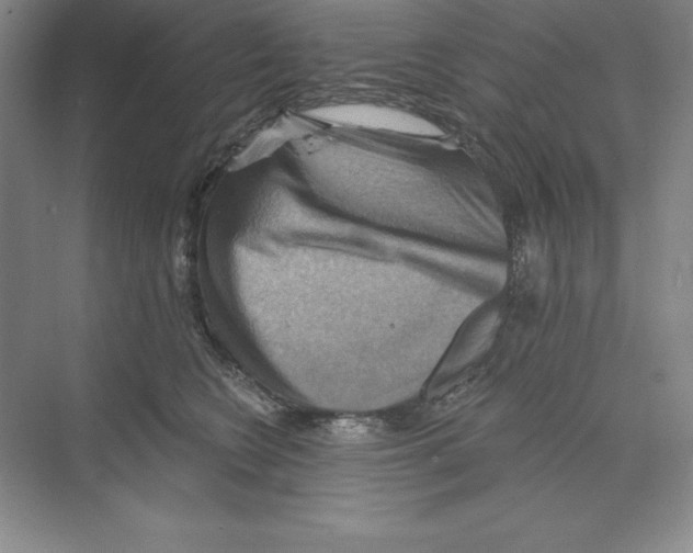 X0000068820566200606021620