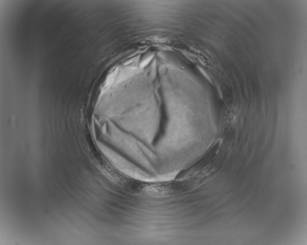 X0000068820568200606021620