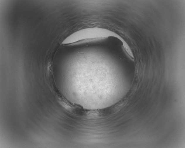 X0000068820574200606021620