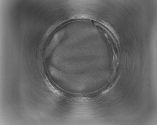 X0000068820577200606021619