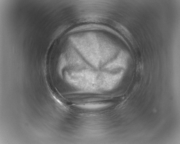 X0000068820578200606021619