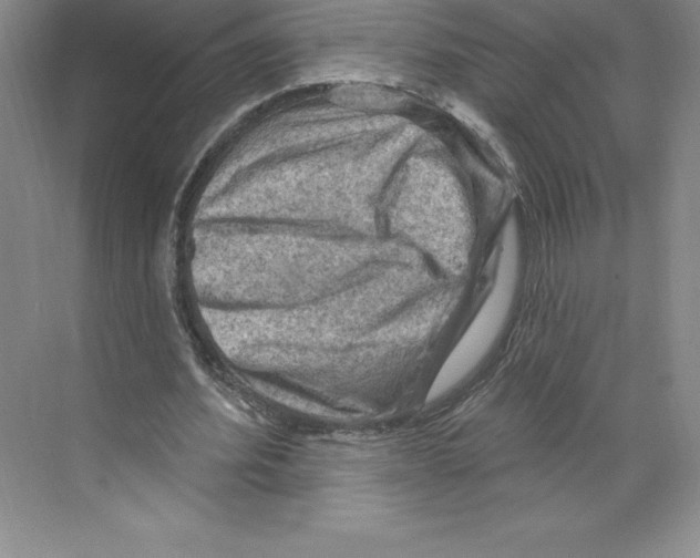 X0000068820580200606021619