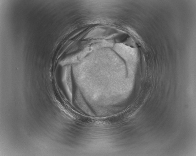 X0000068820585200606021619