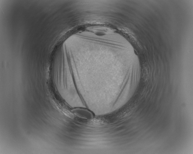 X0000068820596200606021619