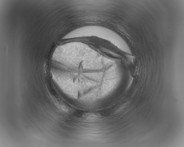 X0000068820597200606021619