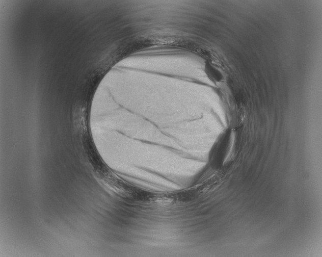 X0000068820598200606021619
