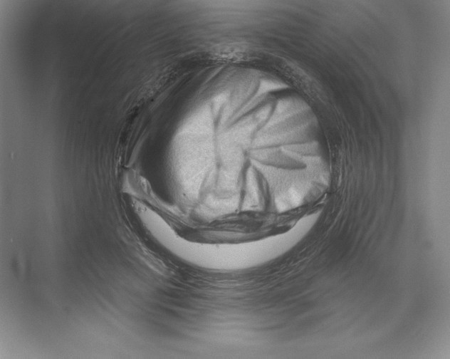 X0000068820601200606021619