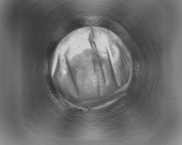 X0000068820602200606021619