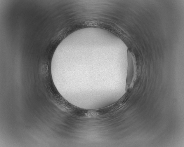 X0000068820603200606021619