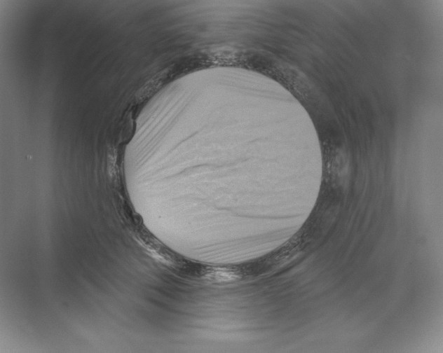 X0000068820610200606021619