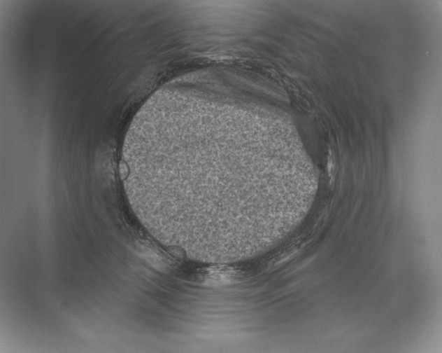 X0000068820612200606021619