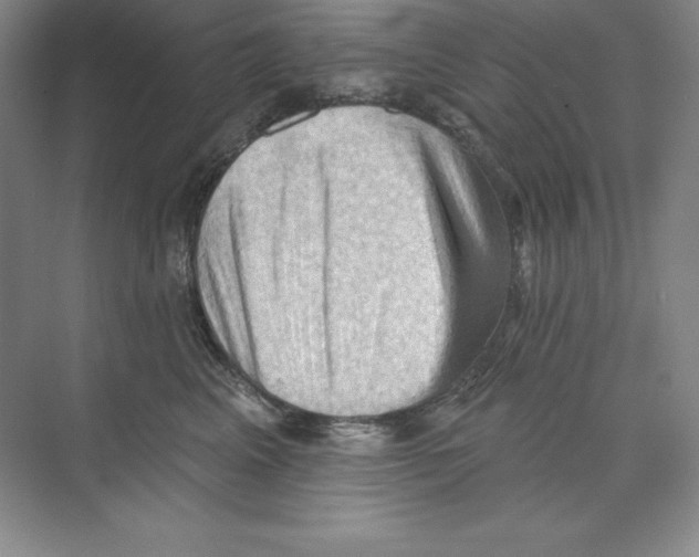 X0000068820617200606021618