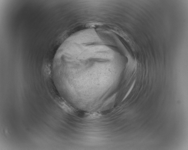 X0000068820621200606021618