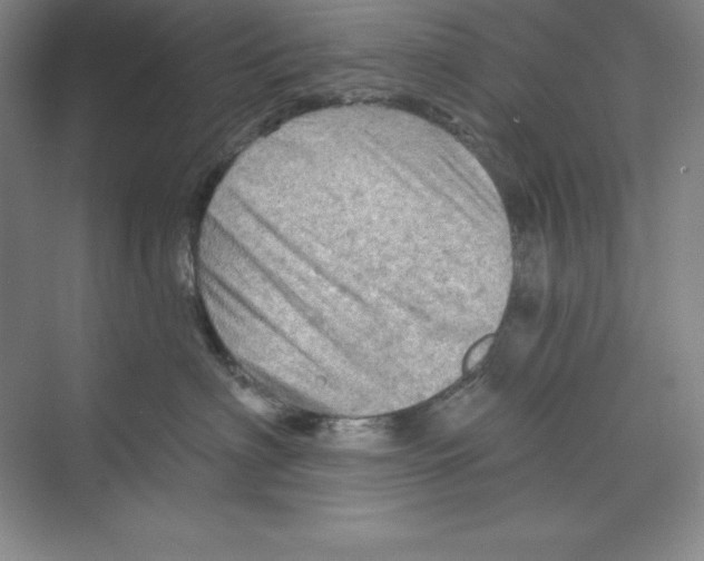 X0000068820622200606021618