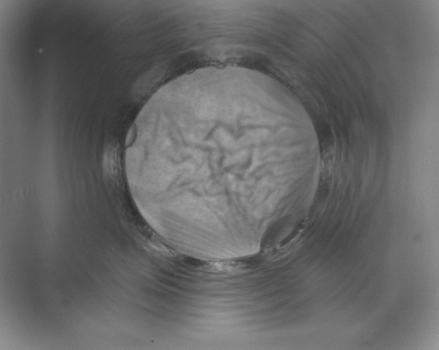 X0000068820623200606021618