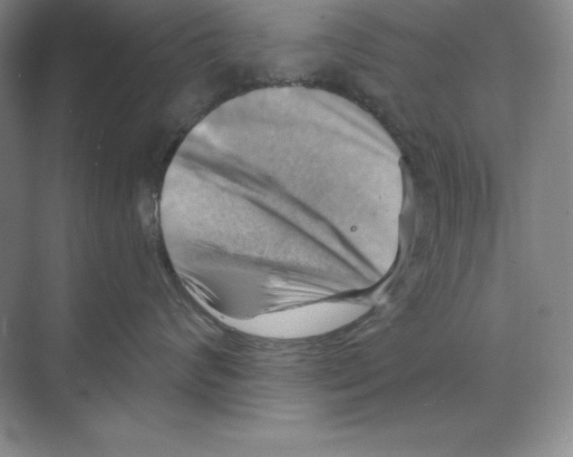 X0000068820624200606021618