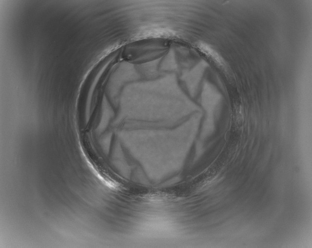 X0000068820630200606021618