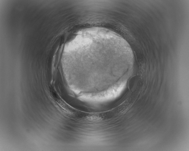 X0000068820644200606021618