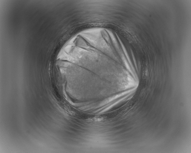 X0000068820647200606021618