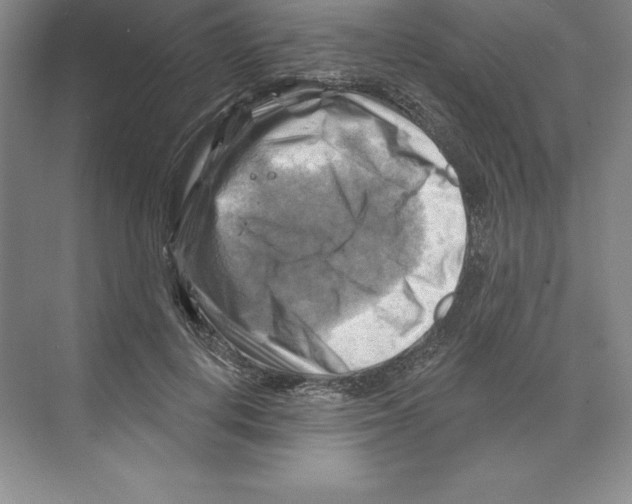 X0000068820648200606021618