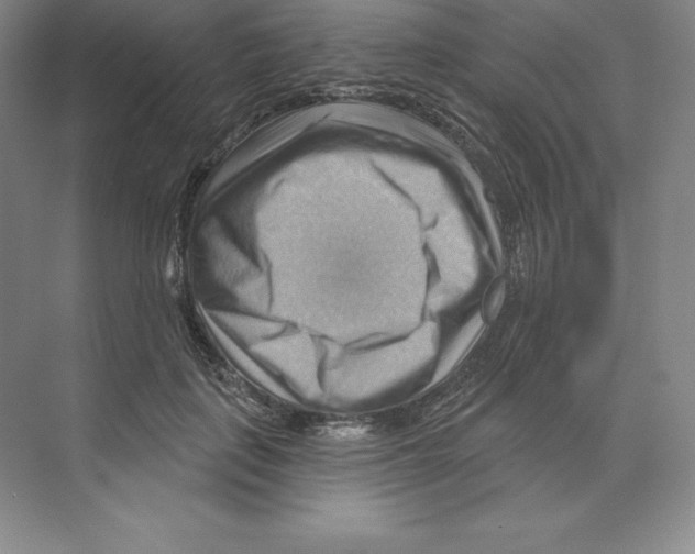 X0000068820651200606021618