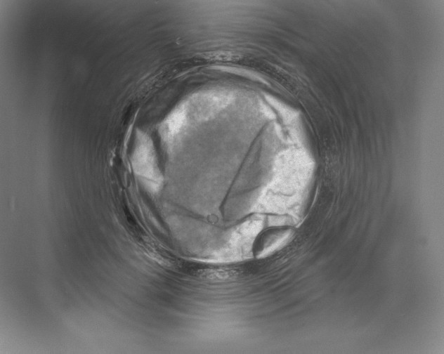 X0000068820652200606021618