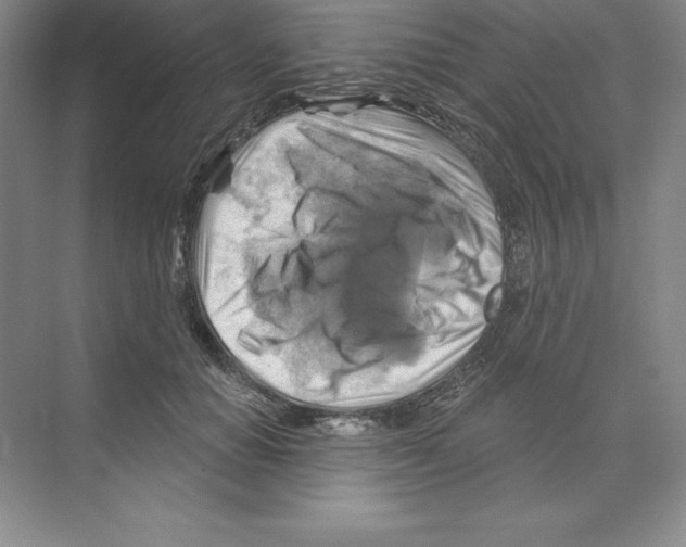 X0000068820654200606021618