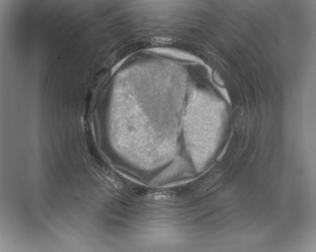 X0000068820655200606021618