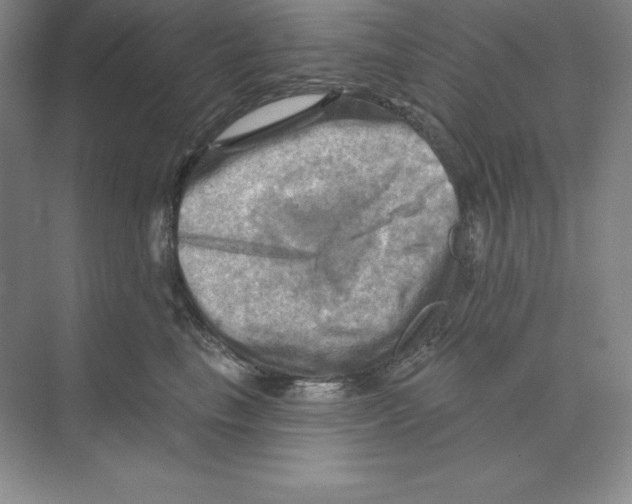 X0000068820665200606021618
