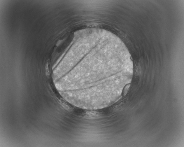X0000068820666200606021618