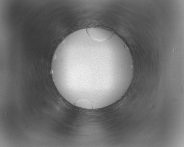 X0000068820672200606021618
