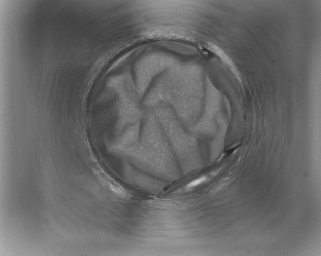 X0000068820673200606021618