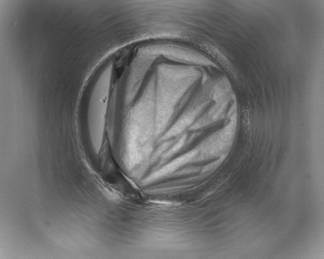 X0000068820676200606021617