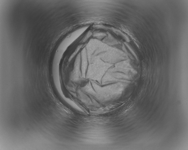 X0000068820681200606021617