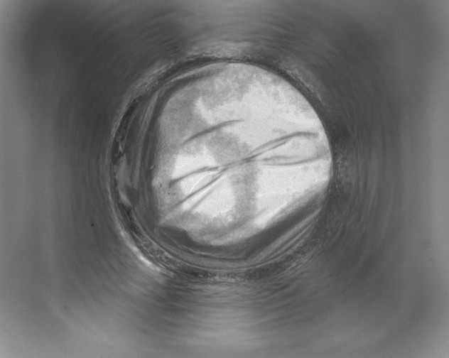 X0000068820682200606021617
