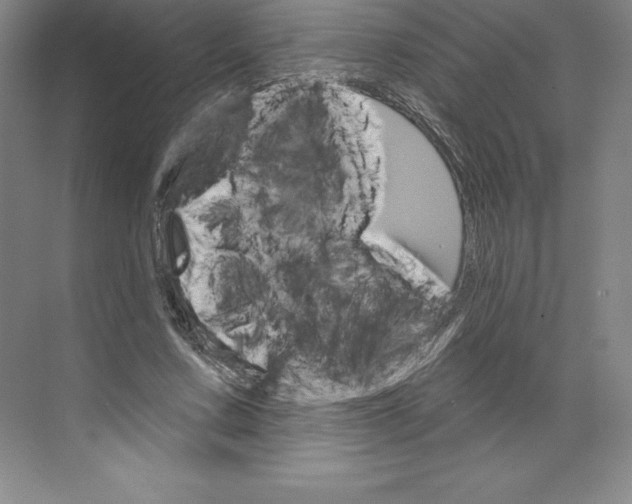 X0000068820683200606021617