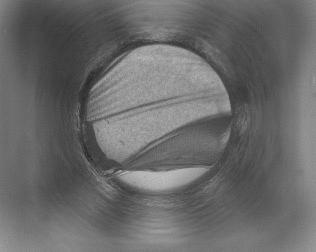 X0000068820685200606021617